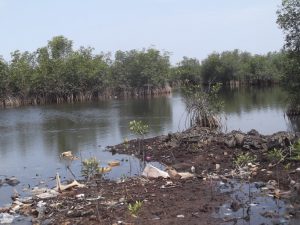 Residents say gas stations built by Total Petroleum Company in areas such as SKD Boulevard in Congo Town, 72nd, Free Port of Monrovia and Martha Elbow on Bushrod Island, threaten these protected wetlands.